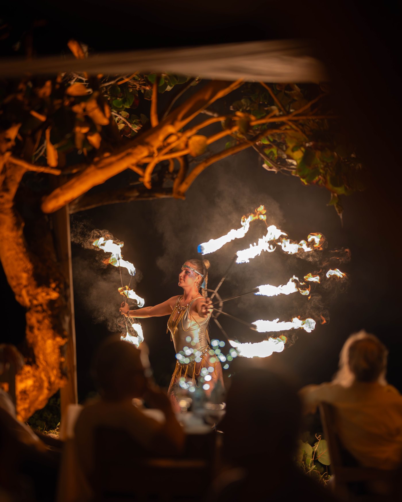 Beach Extravaganza 100 - Le Toiny St Barth - fire dancer performing under the tree, guests dining in the foreground